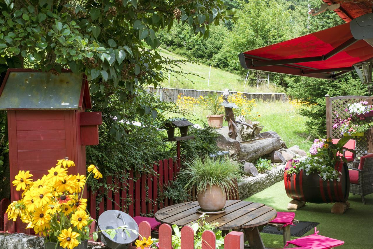 Gite Chez Mimie Breitenbach-Haut-Rhin Exterior foto